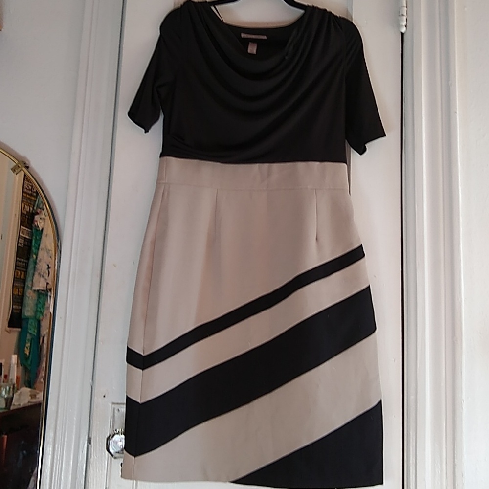 Dressbarn Black and tan dress